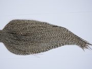 9423 - JimsFlyCo Dry Fly Hackle, Grizzly Dun Variant #1 Grade Rooster Cape, Ties Sizes 10-22