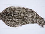 9424 - JimsFlyCo Dry Fly Hackle, Grizzly Dun Variant #1 Grade Rooster Cape, Ties Sizes 10-22