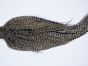 9426 - JimsFlyCo Dry Fly Hackle, Grizzly Dun Variant #1 Grade Rooster Cape, Ties Sizes 10-22