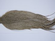 9428 - JimsFlyCo Dry Fly Hackle, Grizzly Dun Variant #1 Grade Rooster Cape, Ties Sizes 12-24