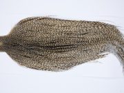9429 - JimsFlyCo Dry Fly Hackle, Grizzly Dun Variant #1 Grade Rooster Cape, Ties Sizes 10-24