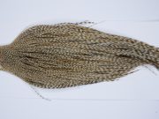 9437 - JimsFlyCo Dry Fly Hackle, Grizzly Dun Variant #2 Grade Rooster Cape, Ties Sizes 10-24