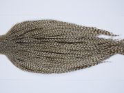 9439 - JimsFlyCo Dry Fly Hackle, Grizzly Dun Variant #2 Grade Rooster Cape, Ties Sizes 10-22