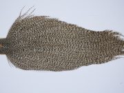 9450 - JimsFlyCo Dry Fly Hackle, Grizzly Dun Variant #2 Grade Rooster Cape, Ties Sizes 10-22