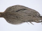 9454 JimsFlyCo Dry Fly Hackle Grade 2 Rooster Cape Grizzly Dun Variant Ties Size 12-24