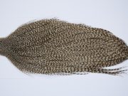 9455 - JimsFlyCo Dry Fly Hackle, Grizzly Dun Variant #2 Grade Rooster Cape, Ties Sizes 10-22