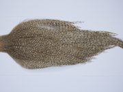 9459 - JimsFlyCo Dry Fly Hackle, Grizzly Dun Variant #2 Grade Rooster Cape, Ties Sizes 10-22