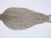 9463 - JimsFlyCo Dry Fly Hackle, Grizzly Dun Variant #2 Grade Rooster Cape, Ties Sizes 8-22