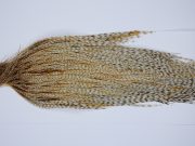 9467-JimsFlyCo Dry Fly Hackle, Barred Ginger Rhodium Grade Rooster Cape, Ties Sizes 10-24