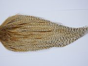 9484 - JimsFlyCo Dry Fly Hackle, Barred Ginger #1 Grade Rooster Cape, Ties Sizes 10-22