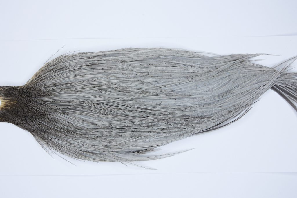 9544 - JimsFlyCo Dry Fly Hackle, Light Dun #2 Grade Rooster Cape, Ties Sizes 12-24
