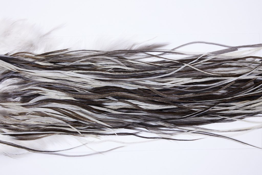 96 - JimsFlyCo Dry Fly Hackle, Variant #2 Grade Rooster Saddle, Ties Sizes 12-14