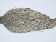 9669 - JimsFlyCo Dry Fly Hackle, Variant #1 Grade Rooster Cape, Ties Sizes 10-22