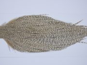 9685 - JimsFlyCo Dry Fly Hackle, Variant #2 Grade Rooster Cape, Ties Sizes 12-20