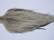 9686 - JimsFlyCo Dry Fly Hackle, Variant #2 Grade Rooster Cape, Ties Sizes 10-20