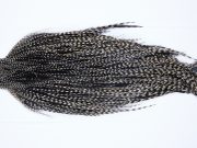 9787 - JimsFlyCo Dry Fly Hackle, Grizzly Variant #1 Grade Rooster Cape, Ties Sizes 10-20
