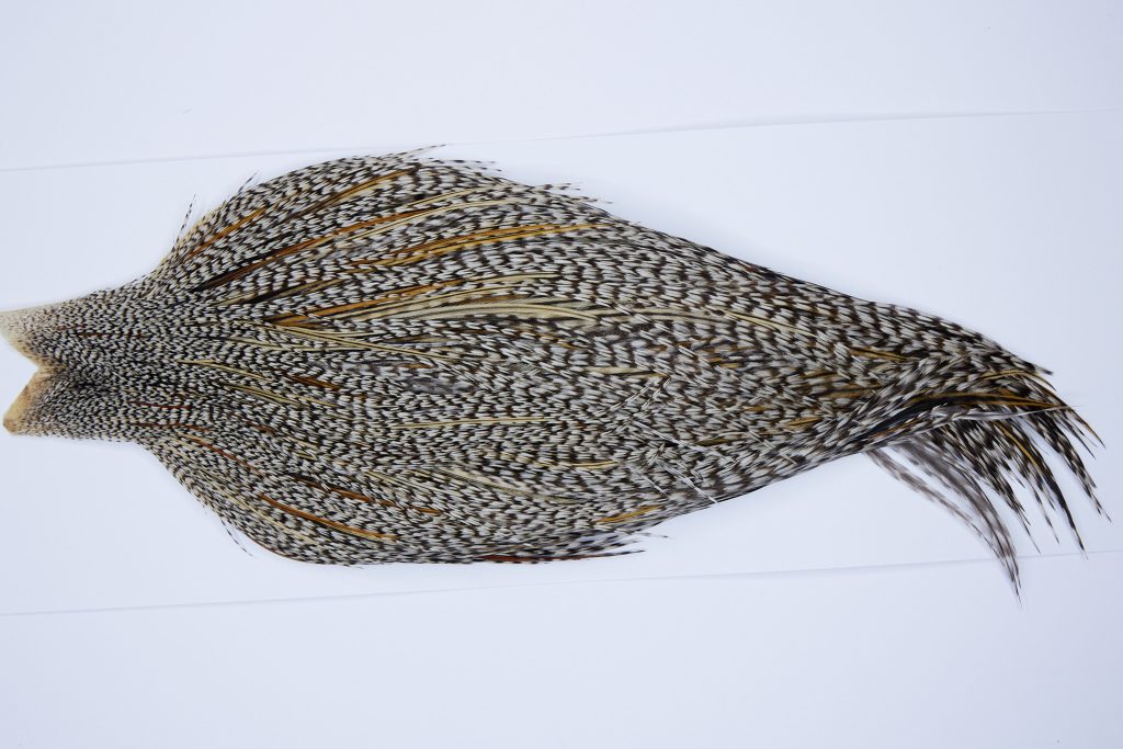 9788 - JimsFlyCo Dry Fly Hackle, Grizzly Variant #1 Grade Rooster Cape, Ties Sizes 10-20