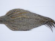 9788 - JimsFlyCo Dry Fly Hackle, Grizzly Variant #1 Grade Rooster Cape, Ties Sizes 10-20