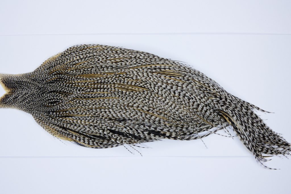 9789 - JimsFlyCo Dry Fly Hackle, Grizzly Variant #1 Grade Rooster Cape, Ties Sizes 8-18