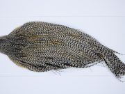 9789 - JimsFlyCo Dry Fly Hackle, Grizzly Variant #1 Grade Rooster Cape, Ties Sizes 8-18