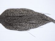 9791 - JimsFlyCo Dry Fly Hackle, Grizzly Variant #1 Grade Rooster Cape, Ties Sizes 8-20