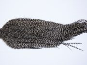 9794 - JimsFlyCo Dry Fly Hackle, Grizzly Variant #1 Grade Rooster Cape, Ties Sizes 10-20