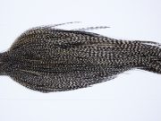 9795 - JimsFlyCo Dry Fly Hackle, Grizzly Variant #1 Grade Rooster Cape, Ties Sizes 8-18