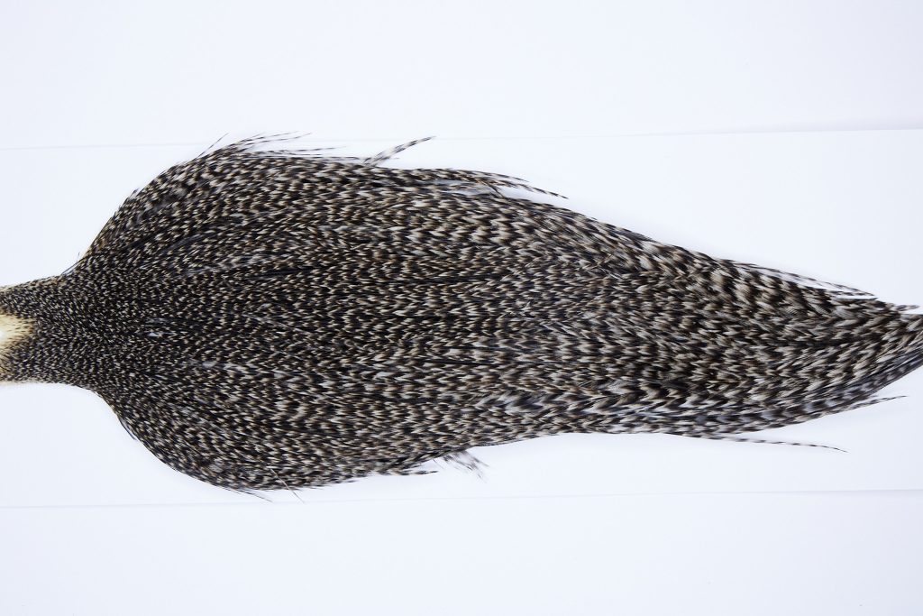 9797 - JimsFlyCo Dry Fly Hackle, Grizzly Variant #1 Grade Rooster Cape, Ties Sizes 8-18