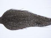 9797 - JimsFlyCo Dry Fly Hackle, Grizzly Variant #1 Grade Rooster Cape, Ties Sizes 8-18