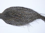 9905 - JimsFlyCo Dry Fly Hackle, Grizzly Variant Rhodium Grade Rooster Cape, Ties Sizes 10-20