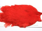 American White dyed Red Hen Cape