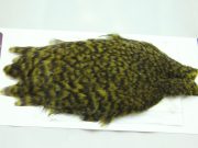 American Hen Cape Grizzly Dark Olive