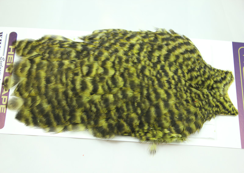 American Hen Cape Grizzly Olive