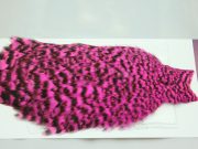 American Hen Cape Grizzly Pink