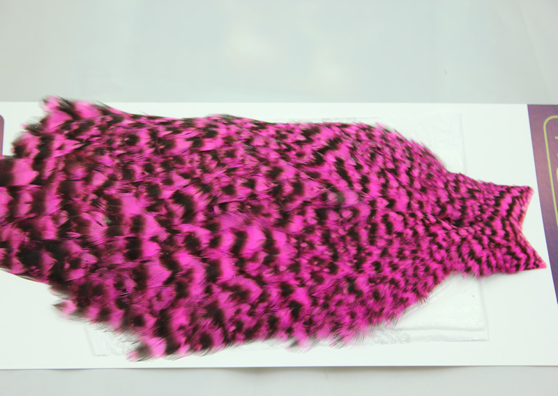 American Hen Cape Grizzly Pink