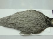 American Hen Cape Medium Dun