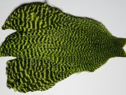 JimsFlyCo GrizzLy & Chartreuse. Hen Cape