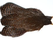 JimsFlyCo Grizzly & Coachman Brown