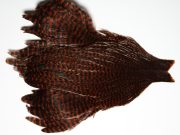 JimsFlyCo Grizzly & Fiery Brown Hen Cape