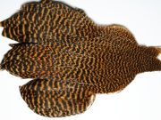 JimsFlyCo GrizzLy & Golden Brown Hen Cape