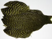 JimsFlyCo Grizzly & Olive Hen Cape