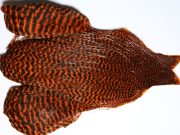 JimsFlyCo Grizzly & Orange Hen Cape