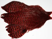 JimsFlyCo Grizzly & Red Hen Cape