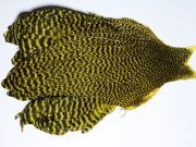 JimsFlyCo Grizzly & Yellow Hen Cape