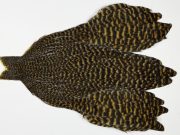 JimsFlyCo Hen Cape Grizzly dyed Golden Olive