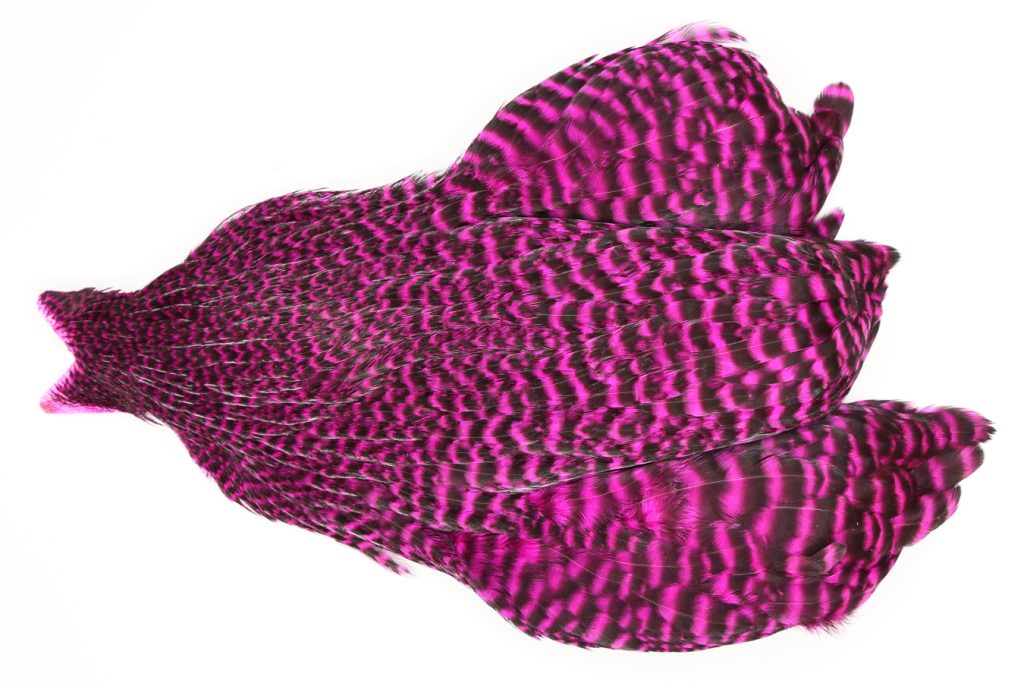 JimsFlyCo Grizzly dyed Magenta Hen Cape