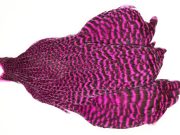 JimsFlyCo Grizzly dyed Magenta Hen Cape