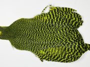 JimsFlyCo Hen Cape Grizzly dyed Yellow Chartreuse