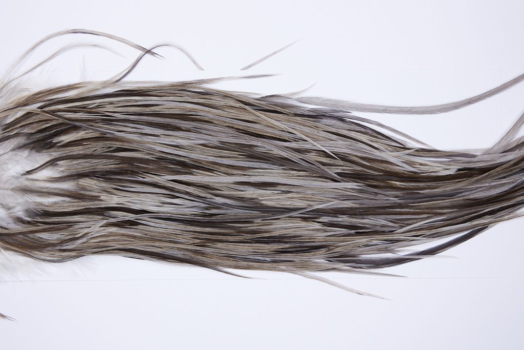 105 - JimsFlyCo Dry Fly Hackle, Variant #2 Grade Rooster Saddle, Ties Sizes 12-14