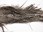 5 - JimsFlyCo Dry Fly Hackle, Grizzly Variant #2 Grade Rooster Saddle, Ties Sizes 12-14